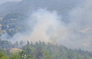 Osmaniye’de orman yangını, ekipler müdahaleye...