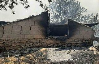 Osmaniye’deki orman yangını: 3 ev kullanılamaz...