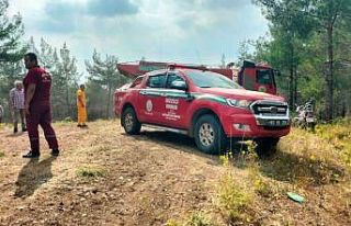 Osmaniye’deki orman yangını kontrol altına alındı