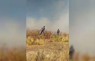 Ot yangını tarım arazilerine gelmeden söndürüldü