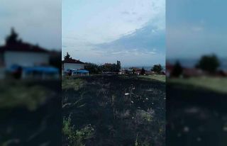 Otluk alanda başlayan yangın evlere sıçramadan...