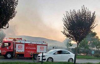 Otluk alanda çıkan yangın ekiplerin zamanında...