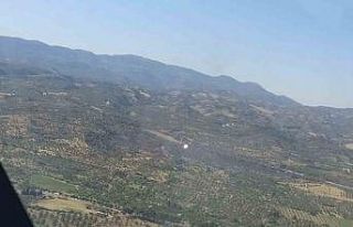 Otoban kenarında çıkan yangın, büyümeden söndürüldü