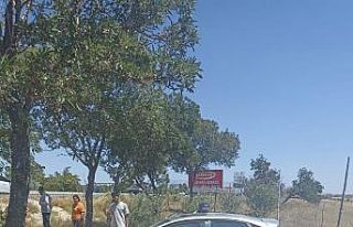 Otomobil ağaca çarptı: 5 yaralı