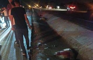 Otomobil koyun sürüsüne çarptı: 2 kişi yaralandı