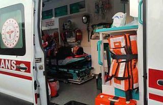 Otomobil zeytinliğe daldı: 1 ölü, 1 yaralı