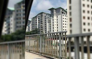 Otomobilden kaçan papağan sahibine zor anlar yaşattı