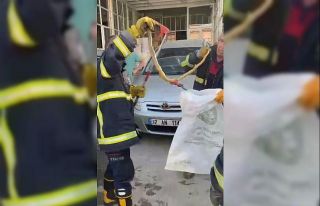 Otomobilin motor kısmına giren yılan bagajdan çıkarıldı