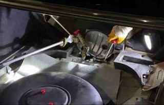 Öyle bir yere girdi ki, ekipleri dakikalarca uğraştırdı