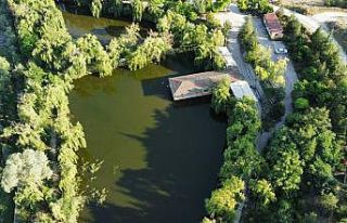 (ÖZEL) Bozkırın ortasındaki vaha ‘Çay İnli...