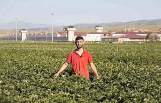 (ÖZEL) Fenomen çiftçinin Afyon şivesiyle yaptığı...