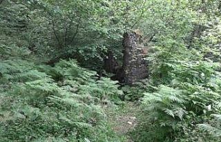 (Özel) Uludağ’ın eteklerinde 600 yıllık tarihi...