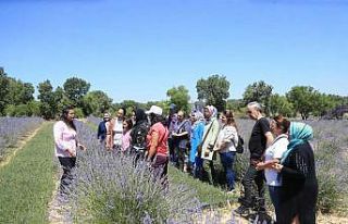 Pamukkaleli kursiyerlerden tıbbi ve aromatik bitki...
