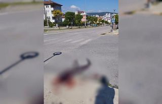 Park halindeki araçtaki şahsı bıçaklayan 4 kişi...