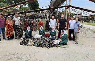 Patlıcan Vadisi’nde renkli görüntüler