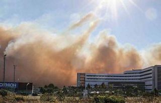 Portekiz’de orman yangını