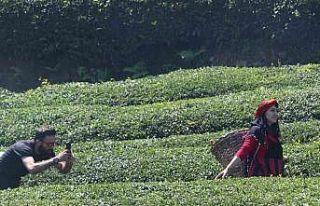 Rize’deki çay bahçesi baklava görünümlü hali...