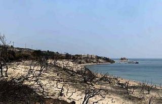 Rodos’taki orman yangını 6 gündür devam ediyor:...