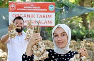 Rusya ve Almanya’nın organik antibiyotiği Aksaray’dan