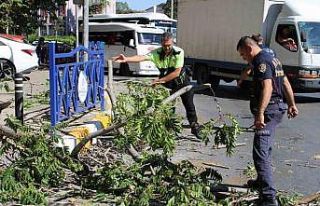 Rüzgarda kopan dal az daha canından ediyordu