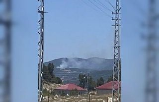 Saimbeyli’de orman yangını