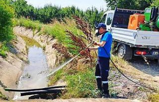 Sakarya Büyükşehir 16 ilçede vektörlerle mücadele...