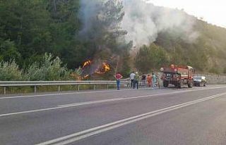Sakarya’da orman yangını