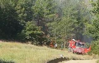 Sakarya’da orman yangınına havadan ve karadan...