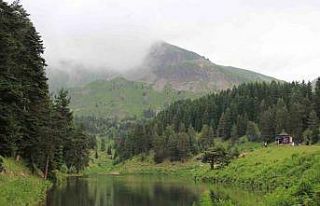 Sakin Şehir Şavşat’ın yeni gözdesi ’Balık...