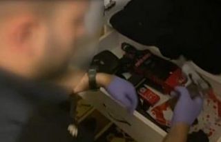 Saksıda çiçek yerine kenevir yetiştiriyor