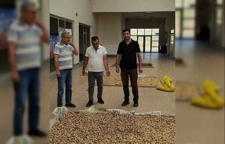 Salep soğanlarını tahrip eden kişilere 488 bin...