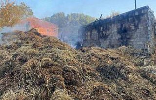 Samanlıkta çıkan yangında bin balya kül oldu