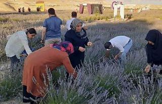 Samsat depremzedeleri, 6 Şubat depremzedelerine moral...