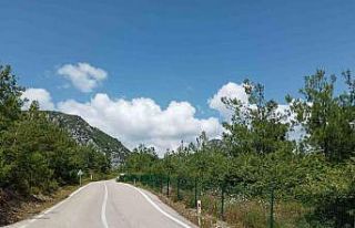 Samsun Valiliği’nden orman yangınlarına karşı...