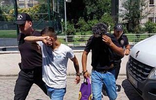 Samsun’da 3 kilo 248 gram bonzai ele geçti: 4 gözaltı