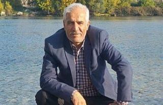 Şanlıurfa’da arının soktuğu adam hayatını...