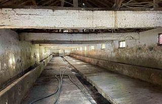 Şap hastalığında alınan numuneler pozitif çıktı,...