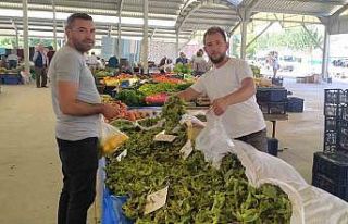 Satışa sunulan yaş fındık kapışılıyor