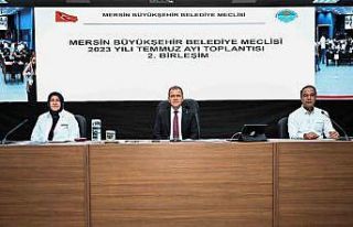 Seçer: Uygulamalı imar planlarında temel prensip...