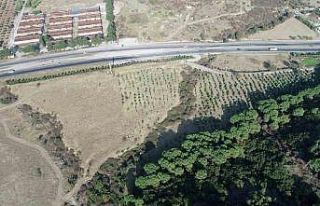 Şehzadeler’e yeni piknik alanı müjdesi