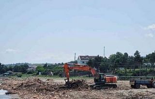 Selde sahile sürüklenen odunlar enerji olacak