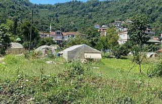 Selden zarar gören tarım arazileri havadan görüntülendi