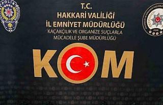 Şemdinli’de 45 adet ruhsatsız tabanca ele geçirildi