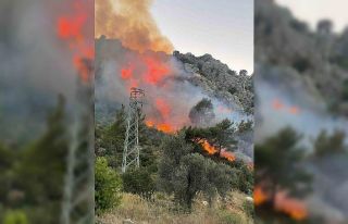Seydikemer’de orman yangını