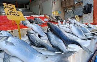 Sıcak havada balığa rağbet yok