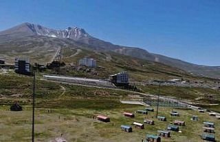 Sıcaktan bunalan dağa kaçtı