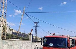 Siirt’te anız yangını bağlara sıçramadan söndürüldü
