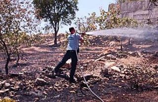 Siirt’te çiftçinin onca yıllık emeği küle...