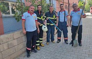 Siirt’te evde görülen yılan paniğe neden oldu