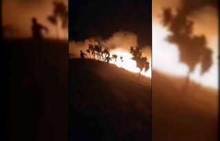 Siirt’te gece yarısı korkutan yangın: Fıstık...